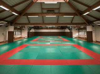 {{brizy_dc_image_alt entityId=