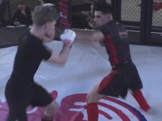 {{brizy_dc_image_alt entityId=